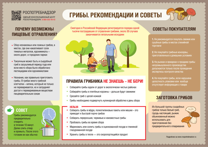 Грибы, рекомендации и советы Грибы, рекомендации и советы.