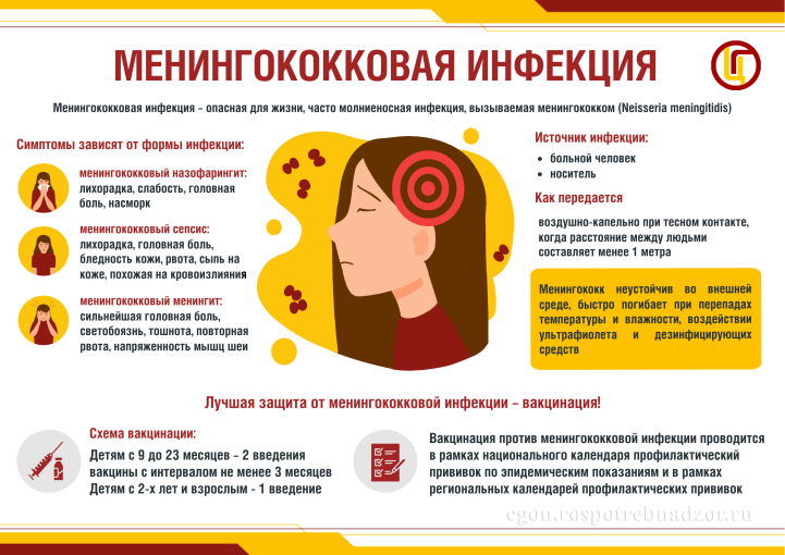Менингококковая инфекция Менингококковая инфекция.